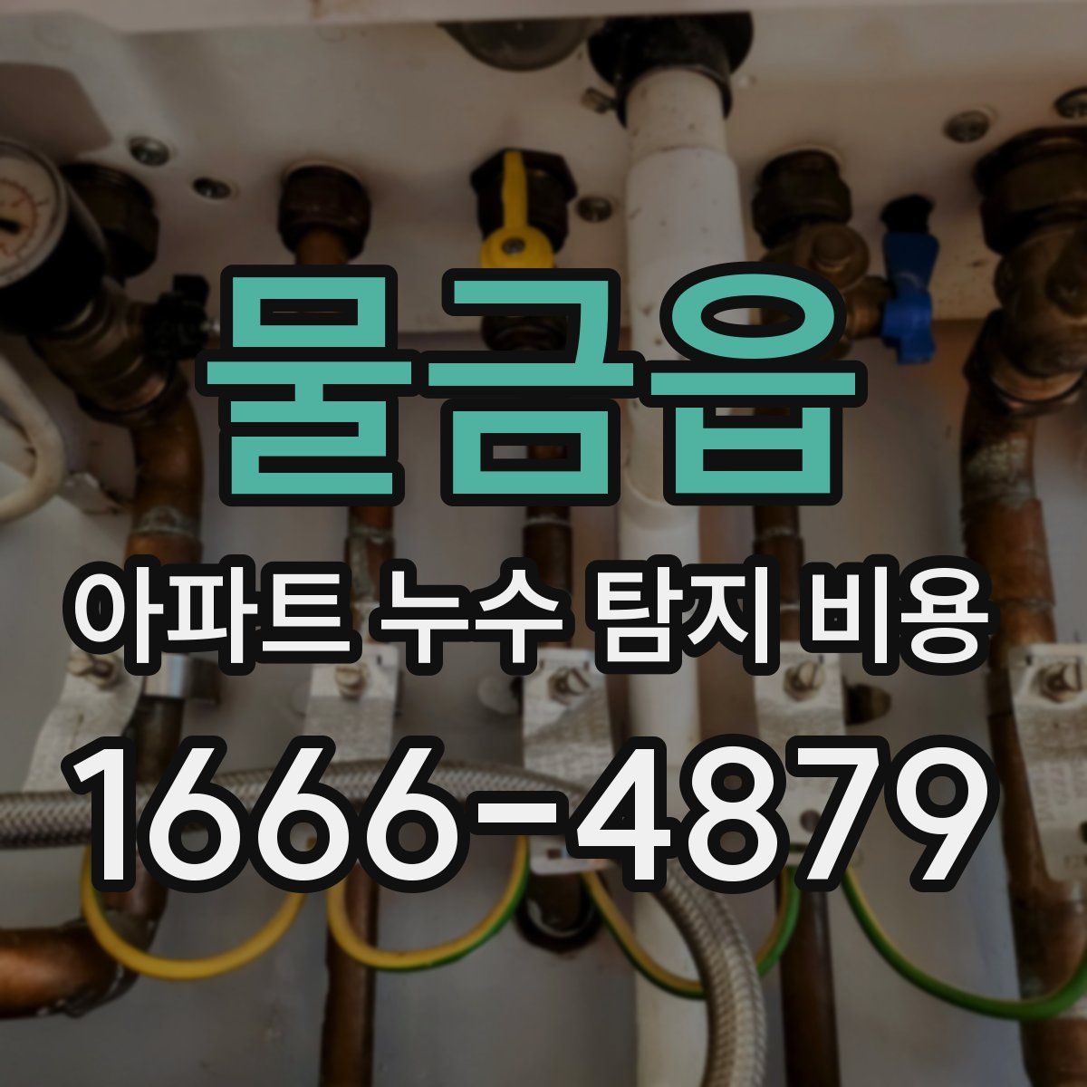 물금읍 아파트 누수 탐지 비용