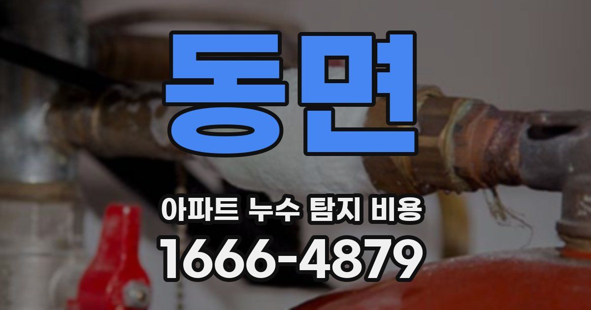 동면 아파트 누수 탐지 비용
