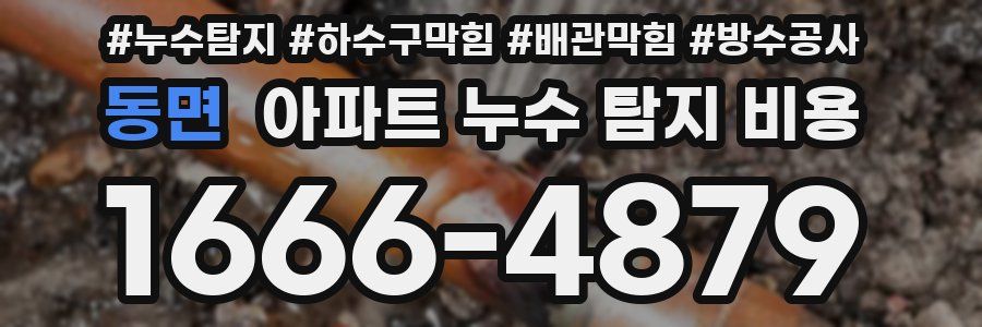 동면 아파트 누수 탐지 비용