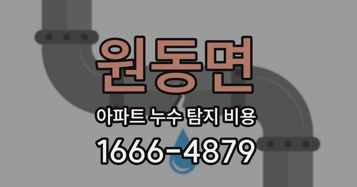 원동면 아파트 누수 탐지 비용