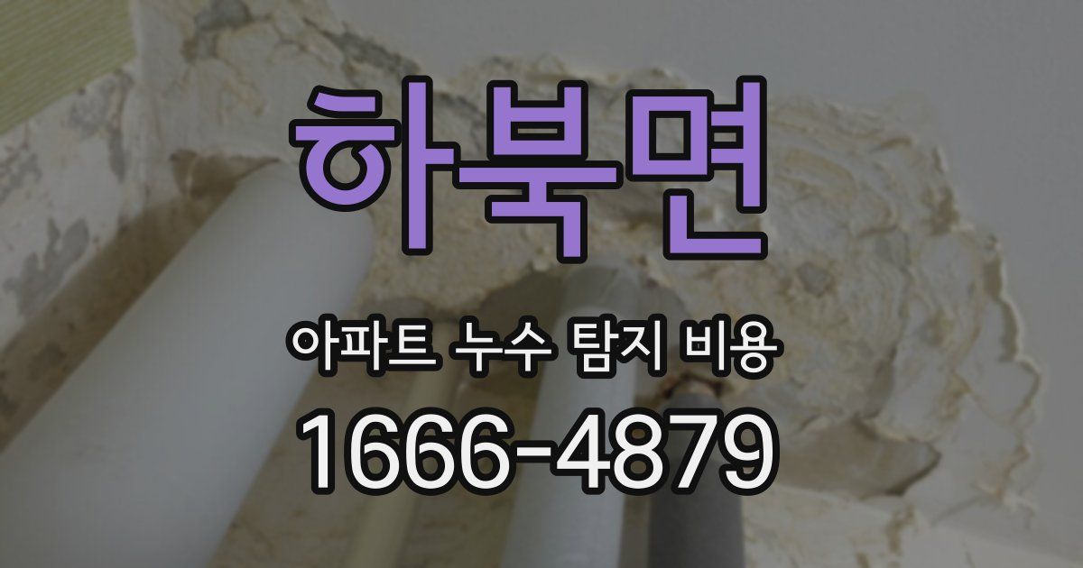 하북면 아파트 누수 탐지 비용