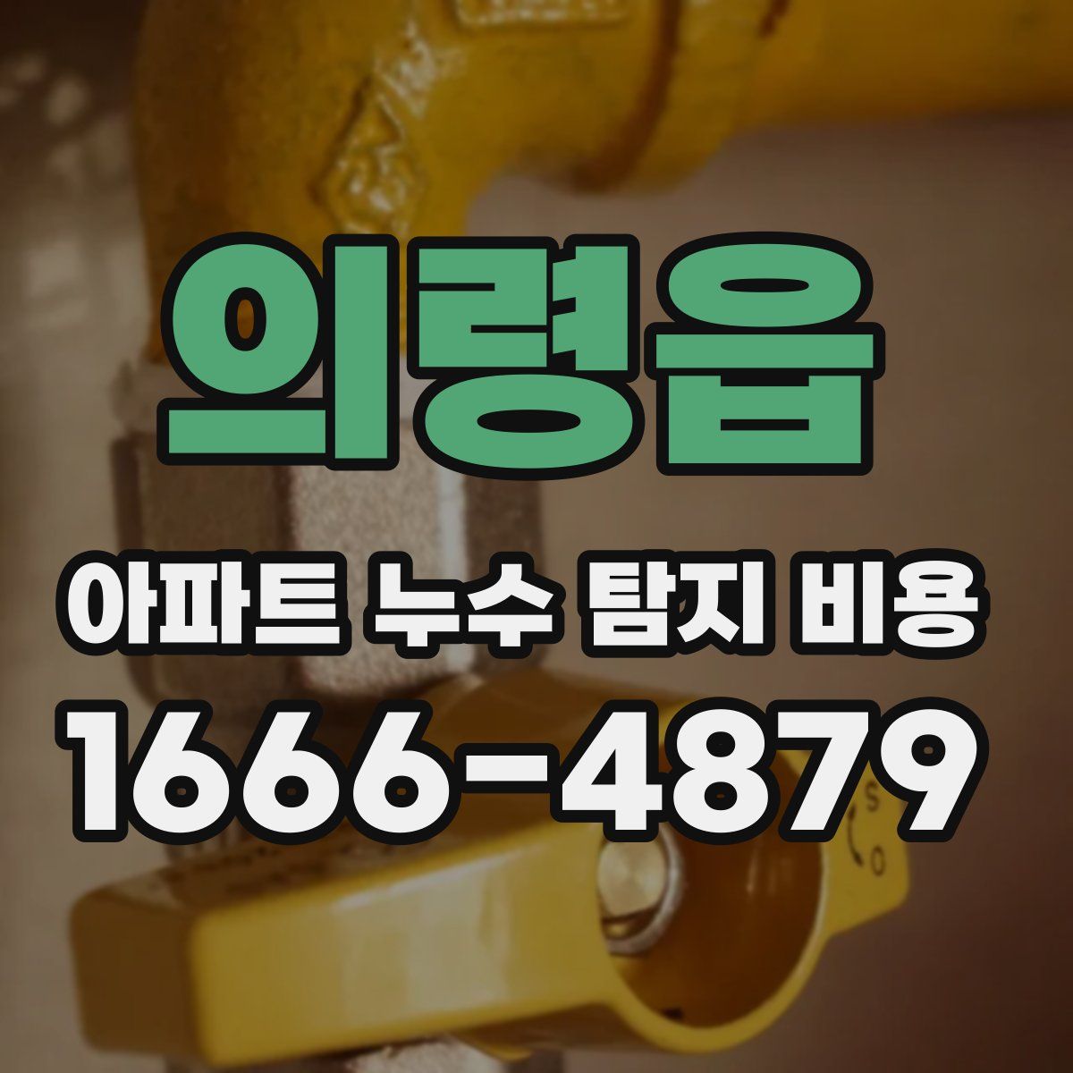 의령읍 아파트 누수 탐지 비용