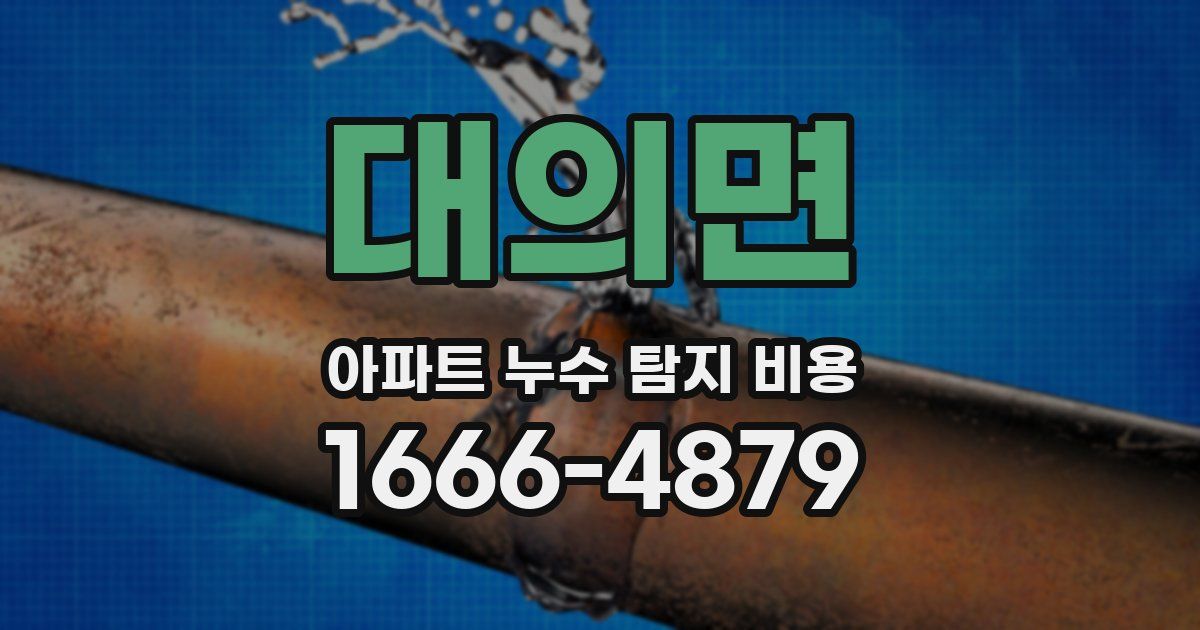 대의면 아파트 누수 탐지 비용