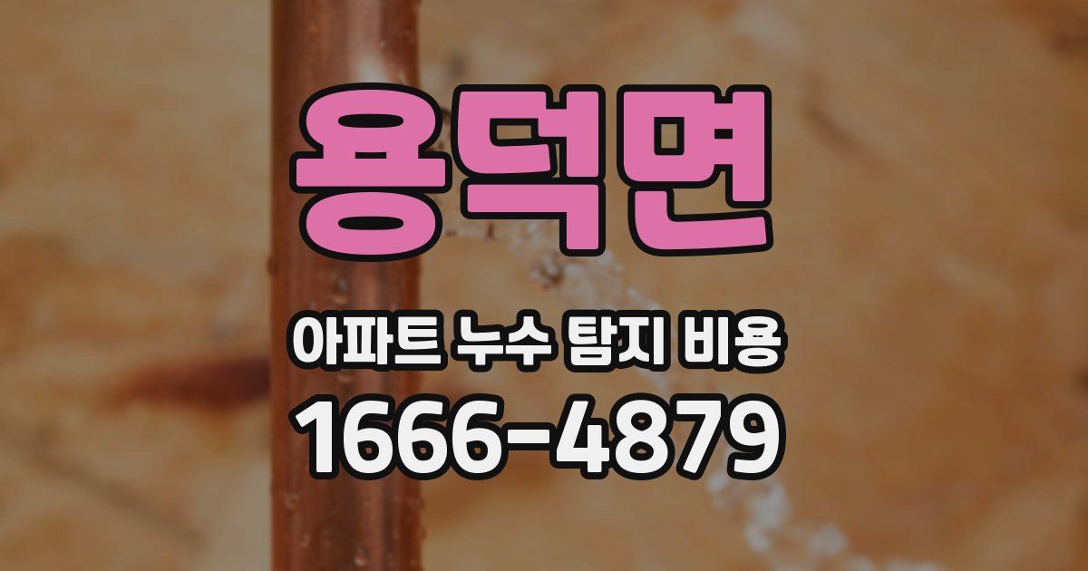 용덕면 아파트 누수 탐지 비용