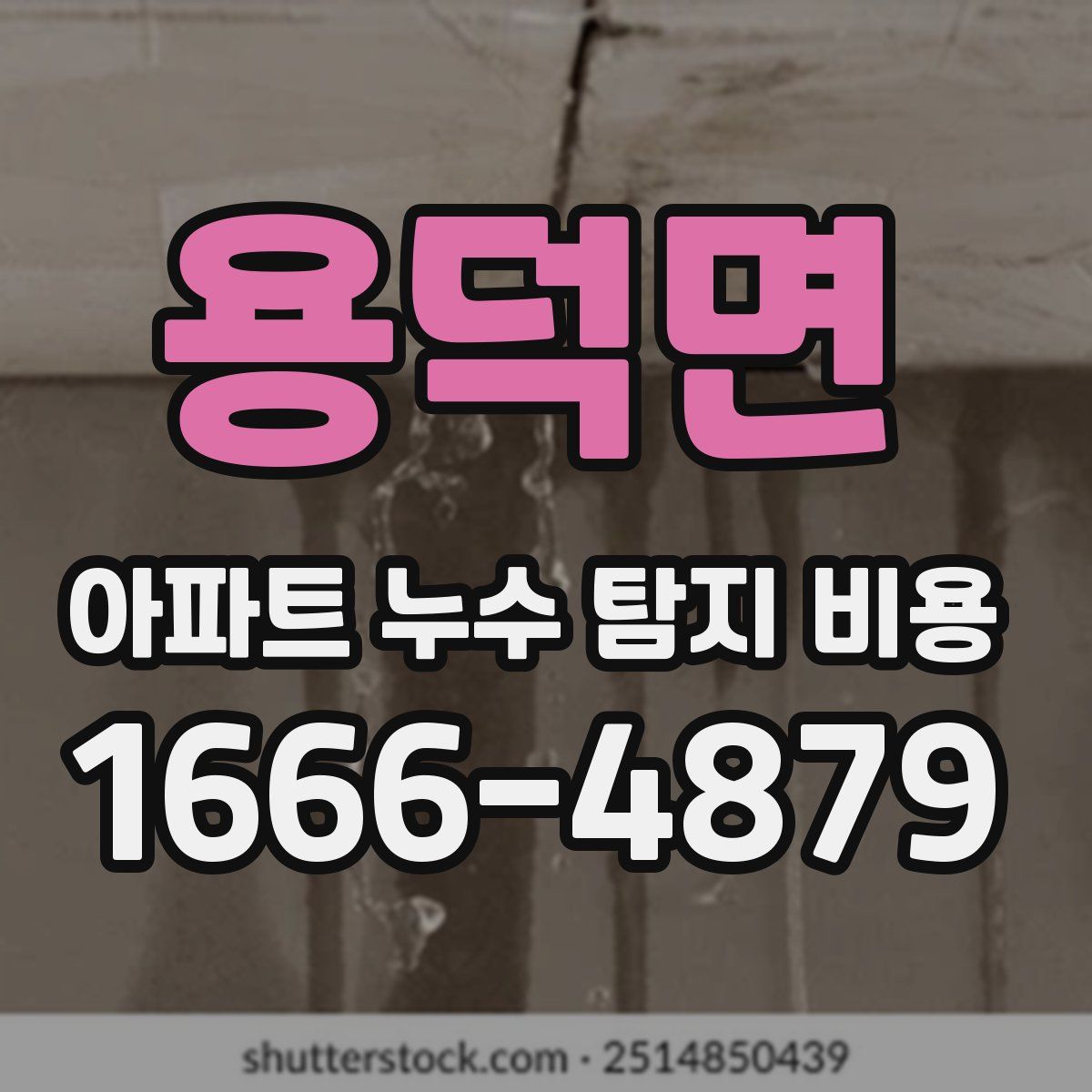 용덕면 아파트 누수 탐지 비용