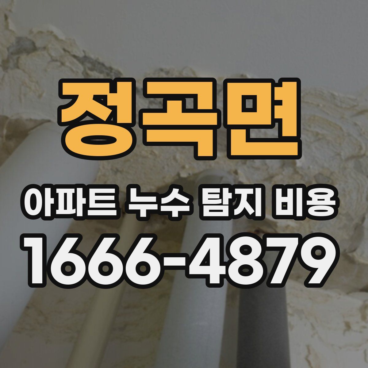 정곡면 아파트 누수 탐지 비용