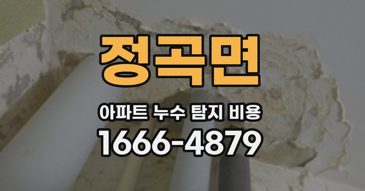 정곡면 아파트 누수 탐지 비용