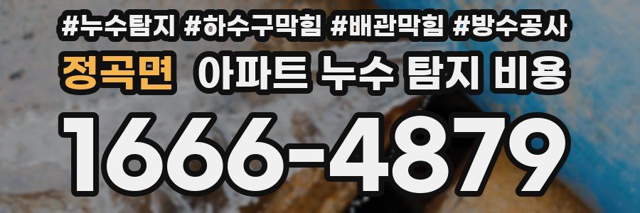 정곡면 아파트 누수 탐지 비용