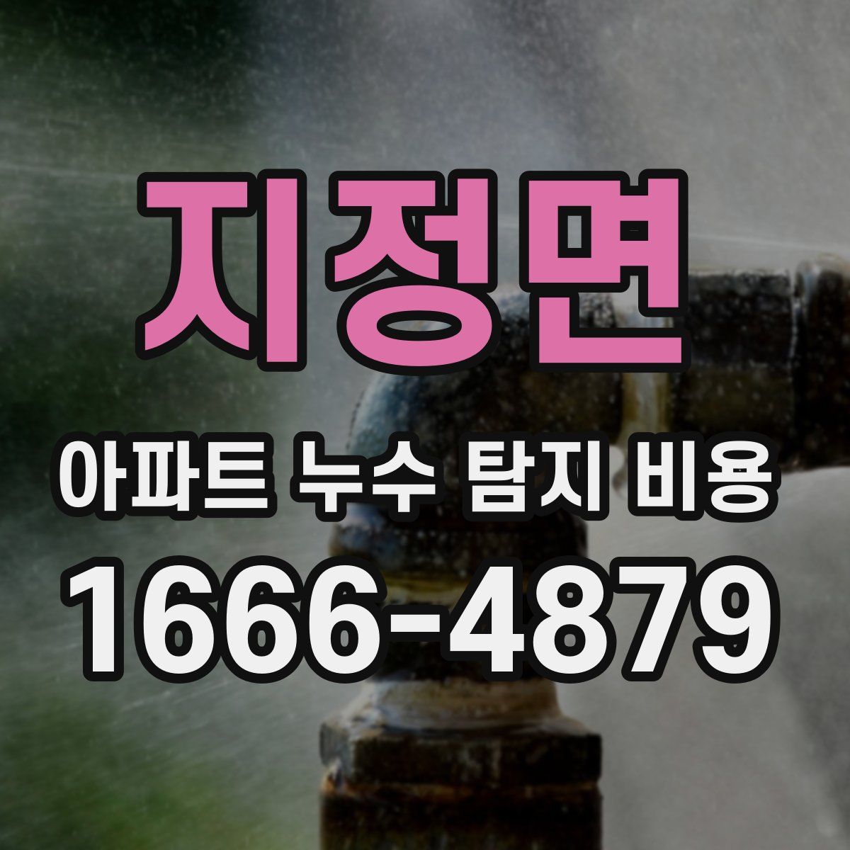 지정면 아파트 누수 탐지 비용