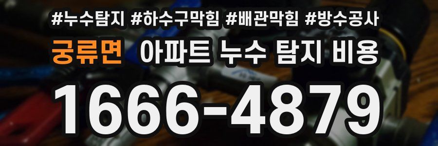 궁류면 아파트 누수 탐지 비용