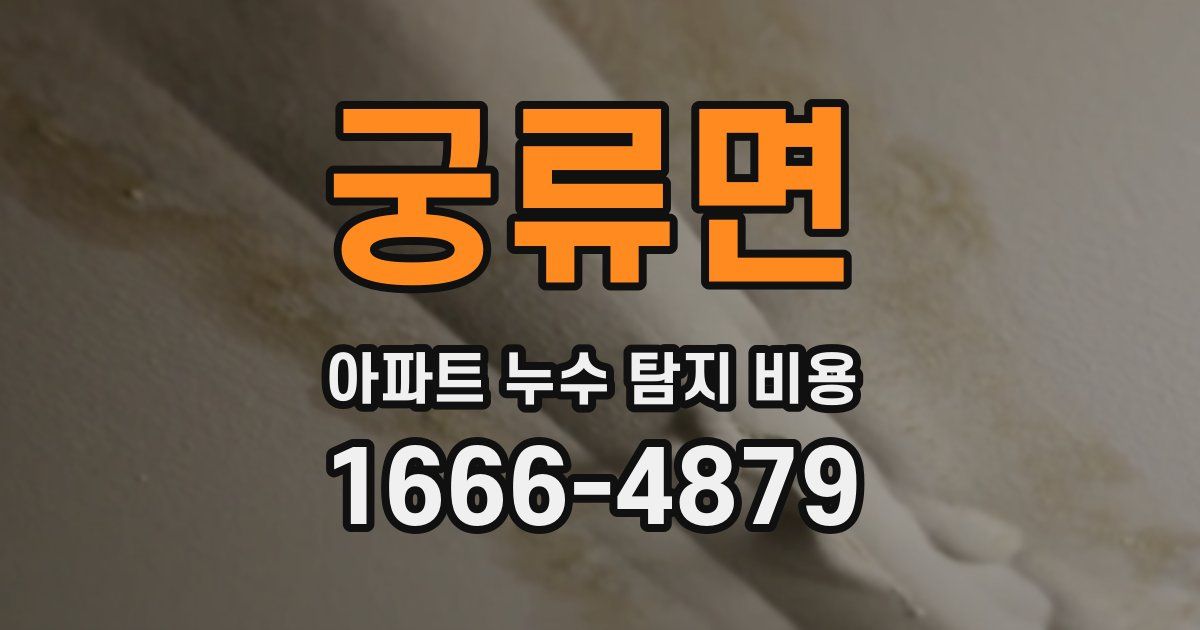 궁류면 아파트 누수 탐지 비용