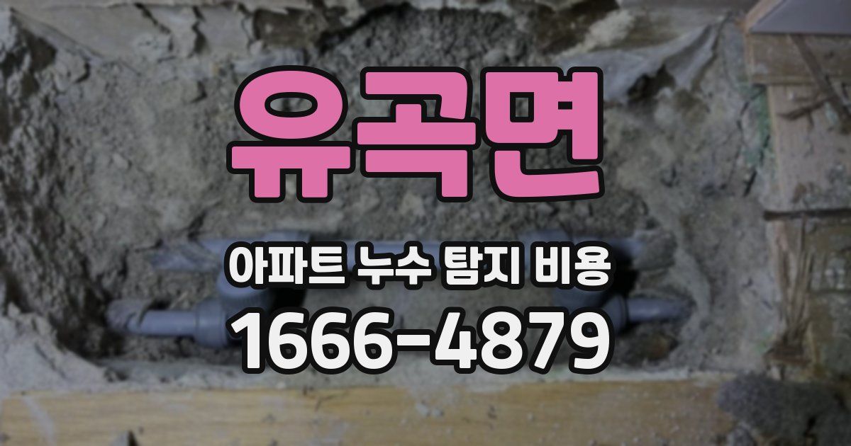 유곡면 아파트 누수 탐지 비용
