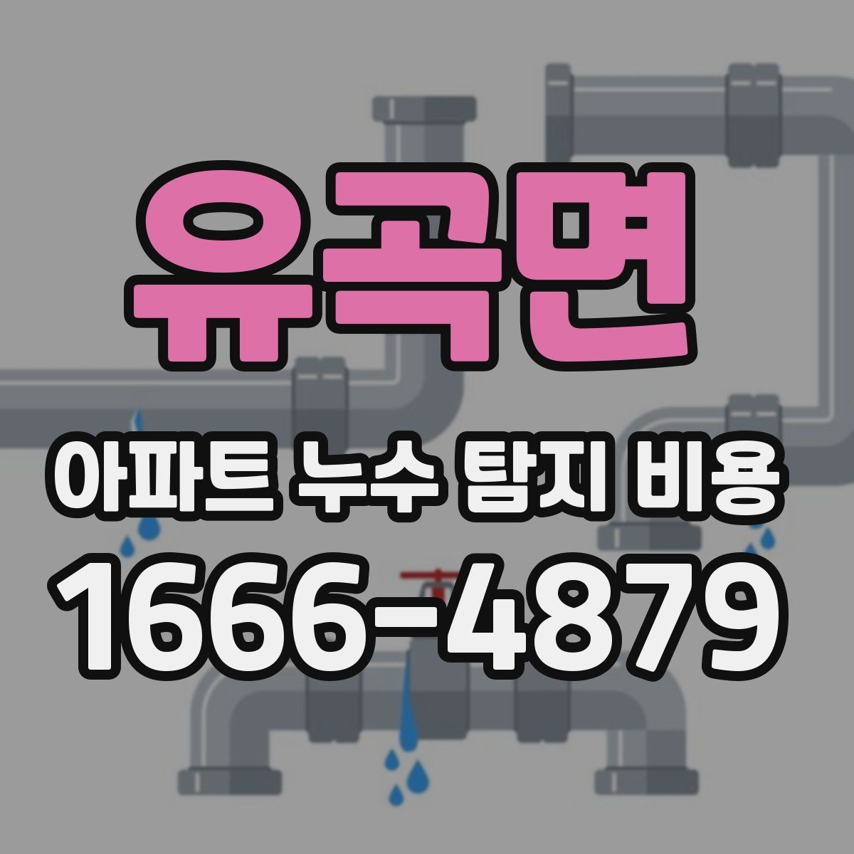 유곡면 아파트 누수 탐지 비용