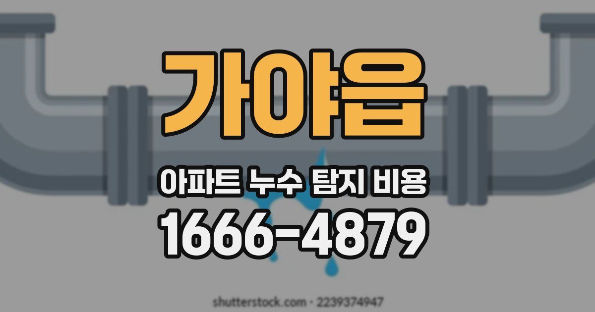 가야읍 아파트 누수 탐지 비용
