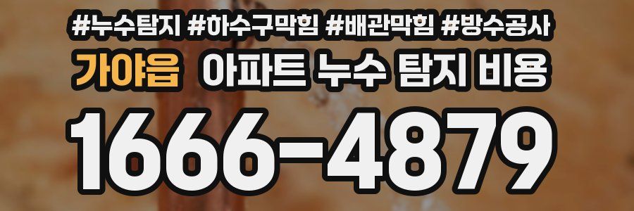 가야읍 아파트 누수 탐지 비용