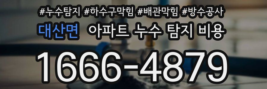 대산면 아파트 누수 탐지 비용