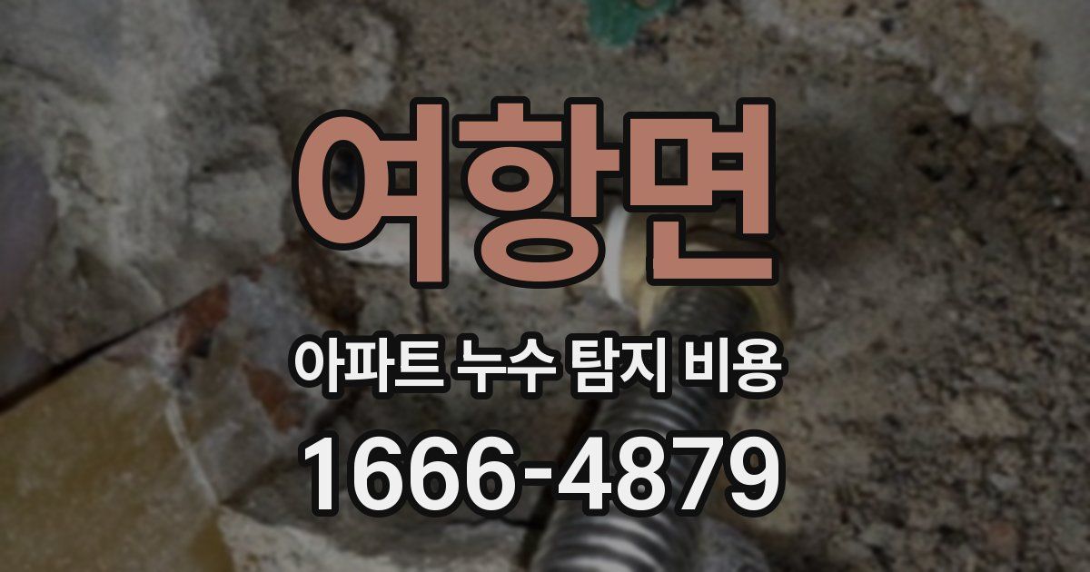여항면 아파트 누수 탐지 비용