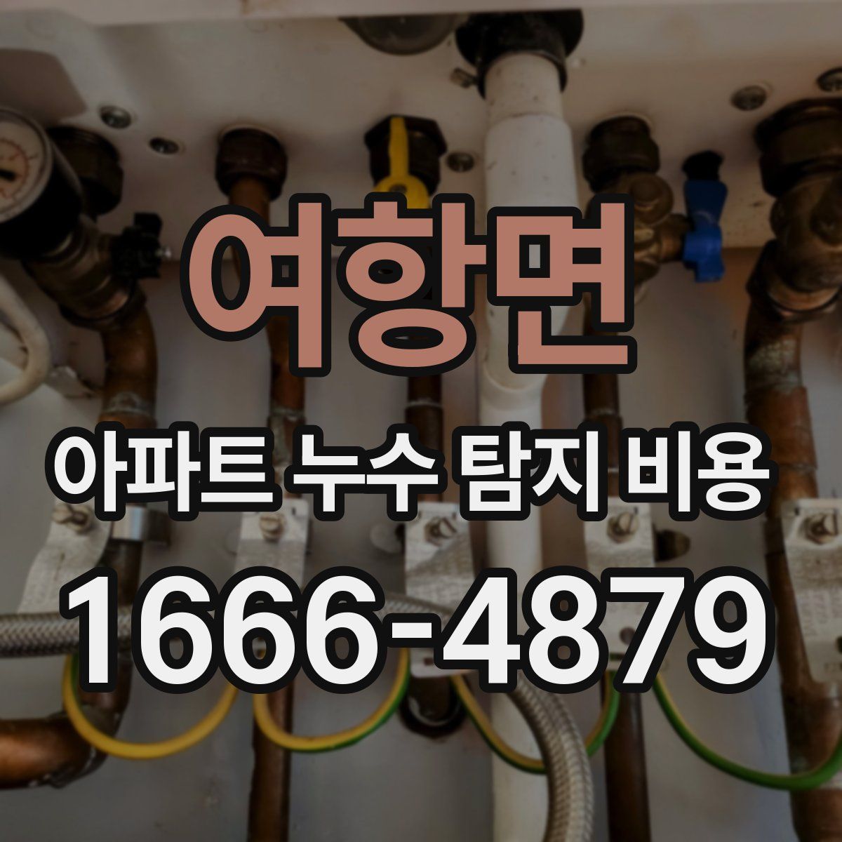 여항면 아파트 누수 탐지 비용