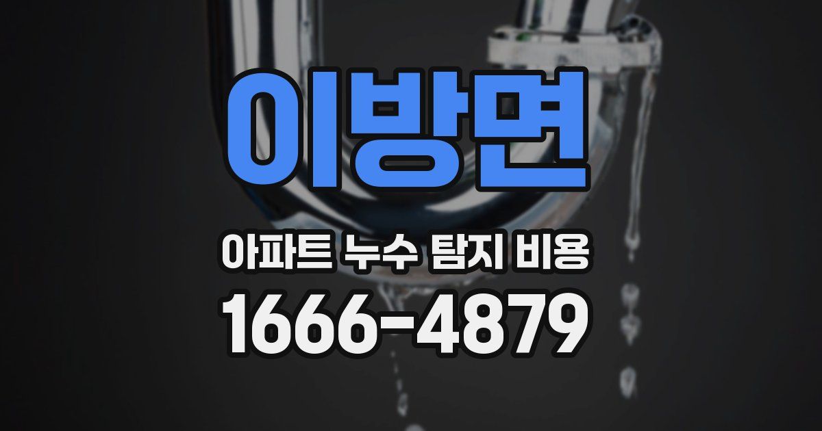 이방면 아파트 누수 탐지 비용