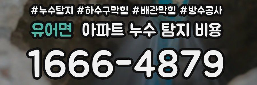 유어면 아파트 누수 탐지 비용