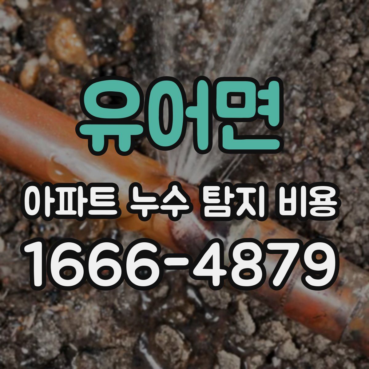 유어면 아파트 누수 탐지 비용