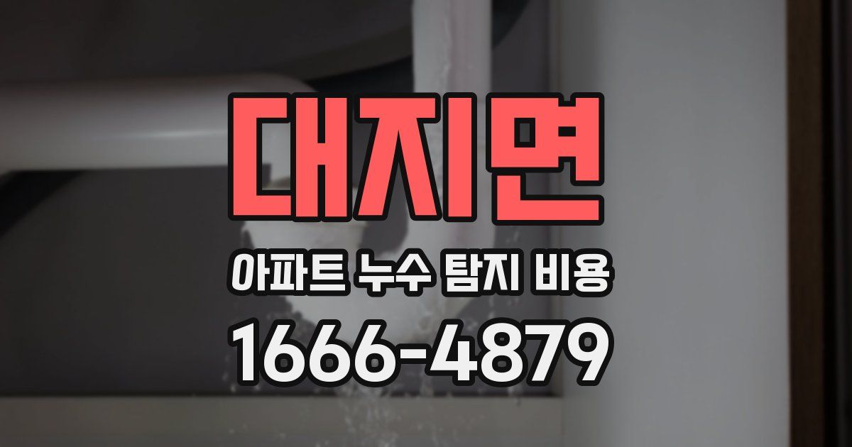 대지면 아파트 누수 탐지 비용