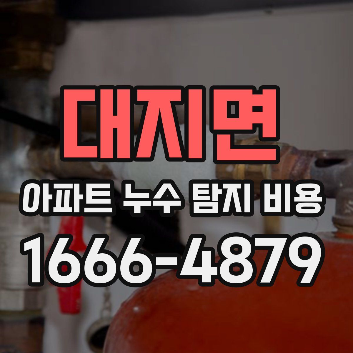 대지면 아파트 누수 탐지 비용