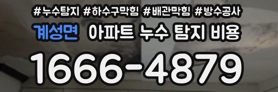 계성면 아파트 누수 탐지 비용