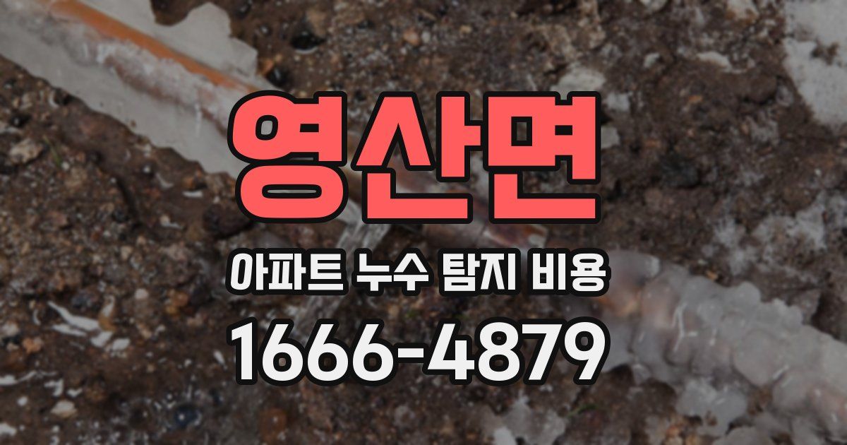 영산면 아파트 누수 탐지 비용