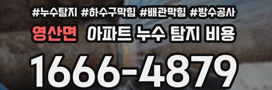 영산면 아파트 누수 탐지 비용