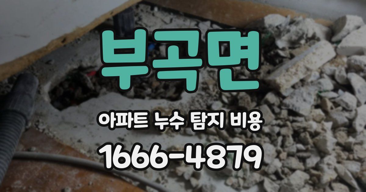 부곡면 아파트 누수 탐지 비용