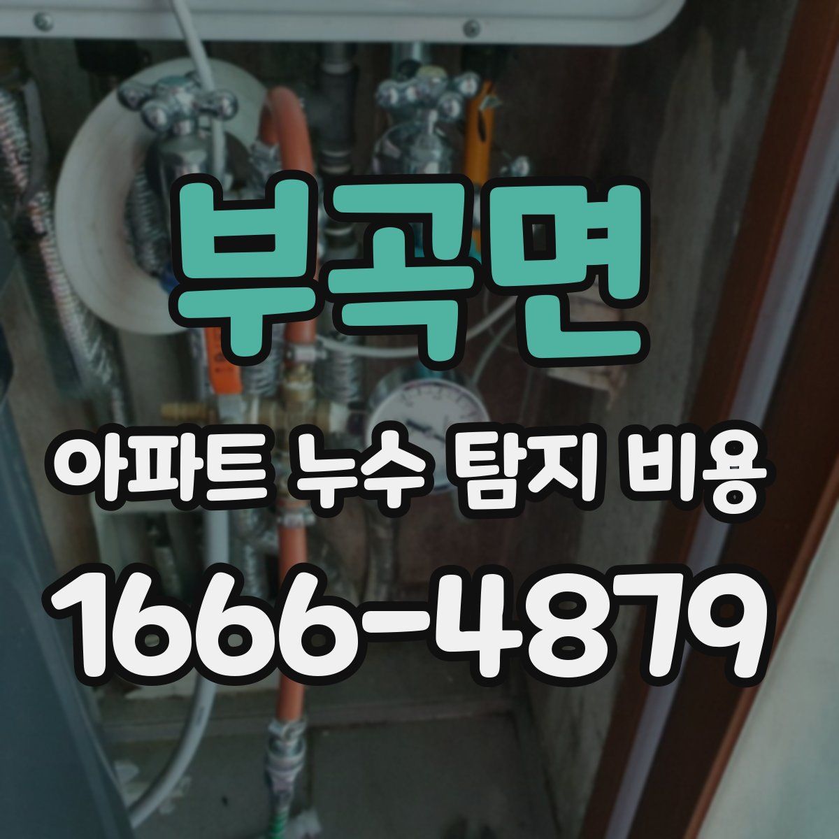 부곡면 아파트 누수 탐지 비용