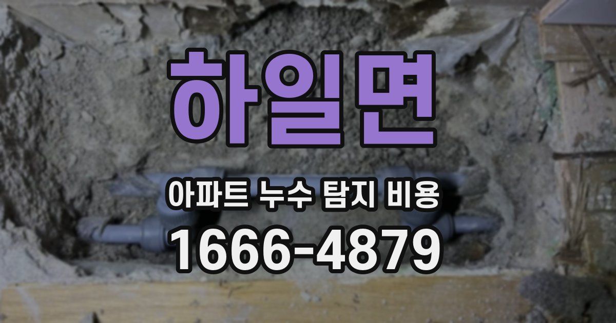 하일면 아파트 누수 탐지 비용