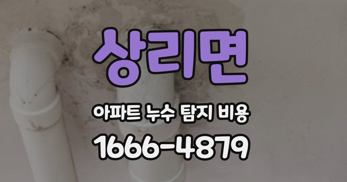 상리면 아파트 누수 탐지 비용