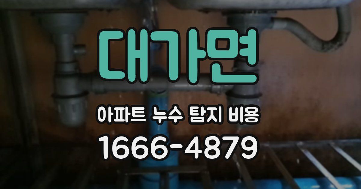 대가면 아파트 누수 탐지 비용