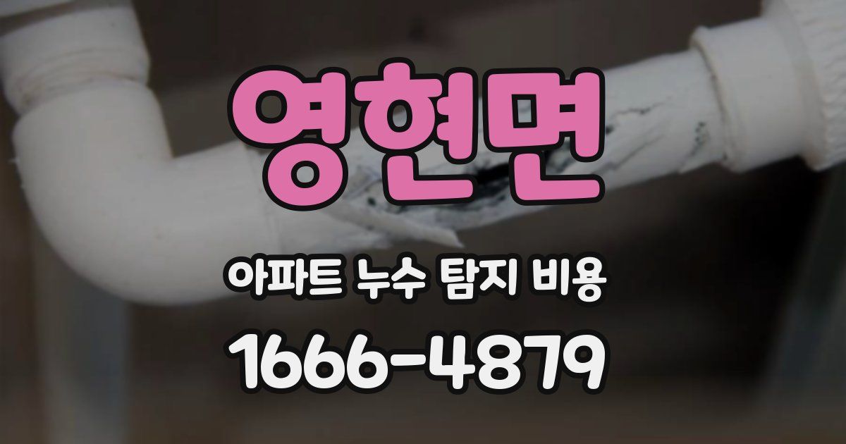 영현면 아파트 누수 탐지 비용