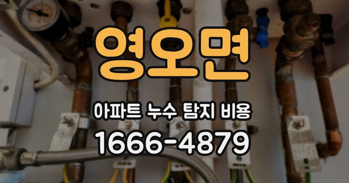 영오면 아파트 누수 탐지 비용