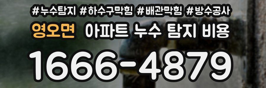 영오면 아파트 누수 탐지 비용