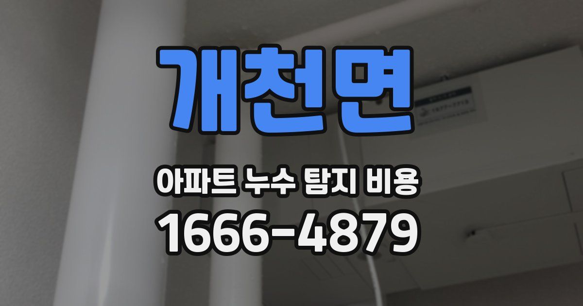 개천면 아파트 누수 탐지 비용