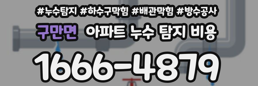 구만면 아파트 누수 탐지 비용