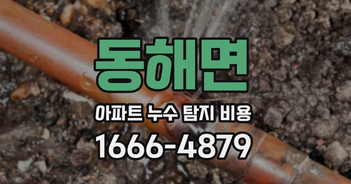 동해면 아파트 누수 탐지 비용