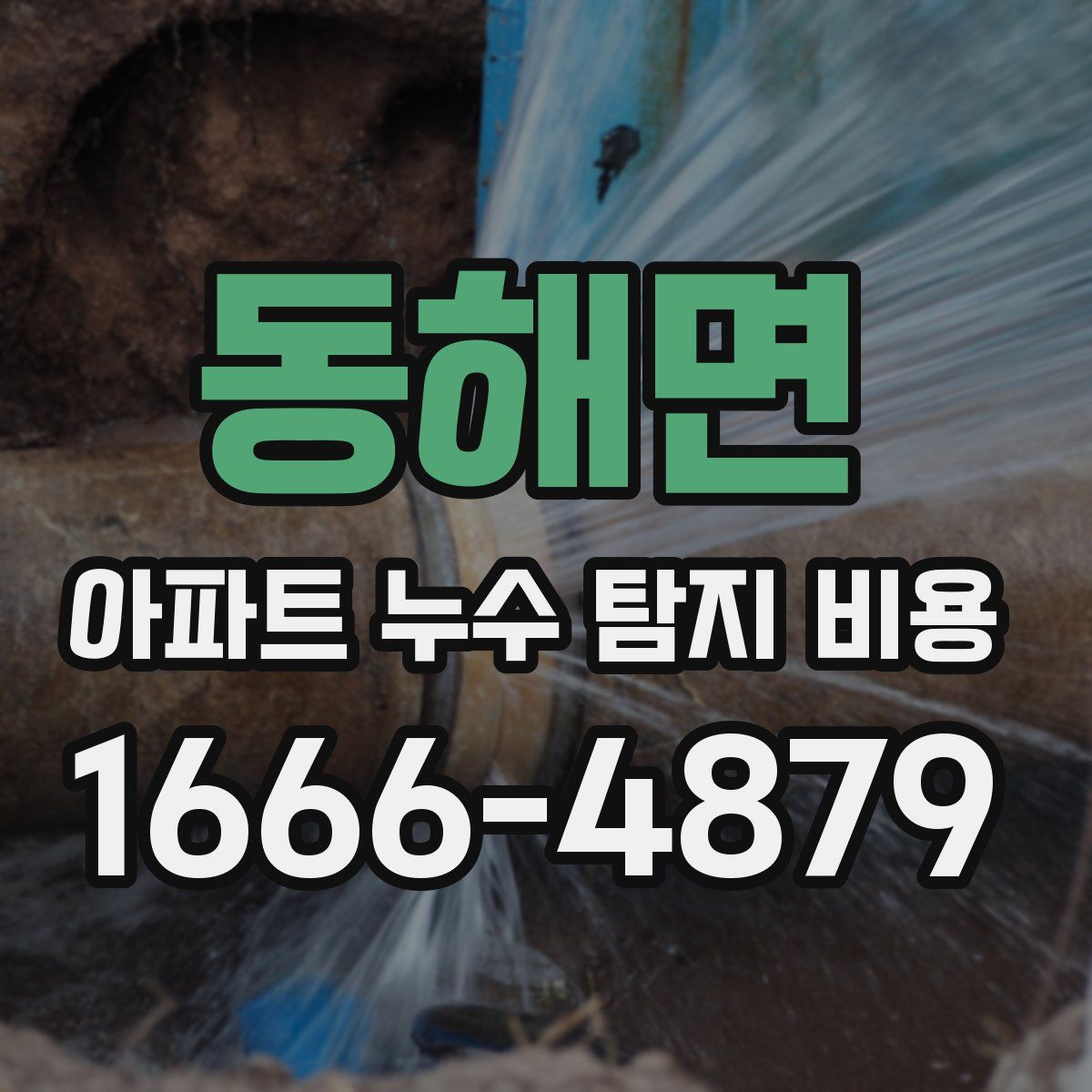 동해면 아파트 누수 탐지 비용