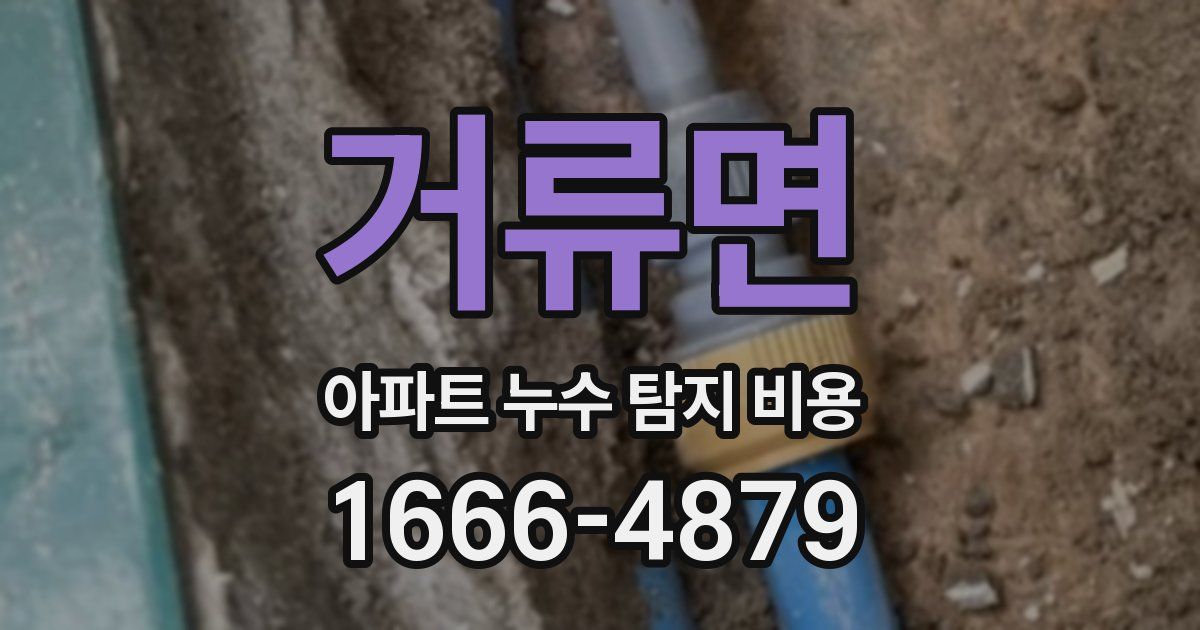 거류면 아파트 누수 탐지 비용