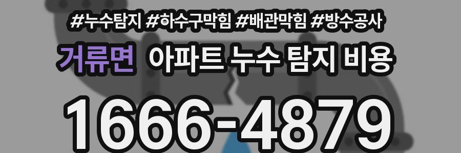 거류면 아파트 누수 탐지 비용