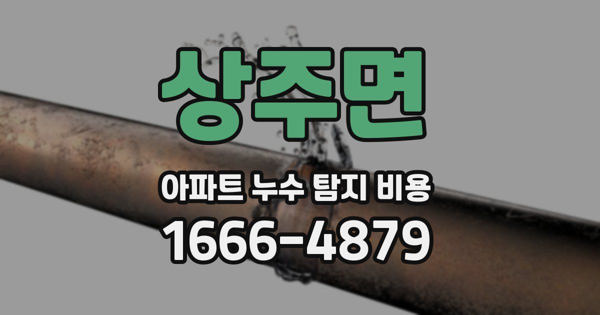 상주면 아파트 누수 탐지 비용