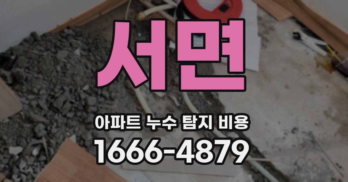 서면 아파트 누수 탐지 비용