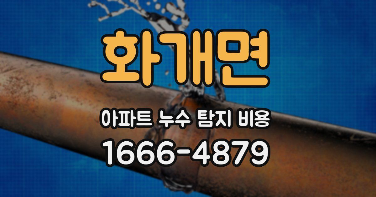 화개면 아파트 누수 탐지 비용