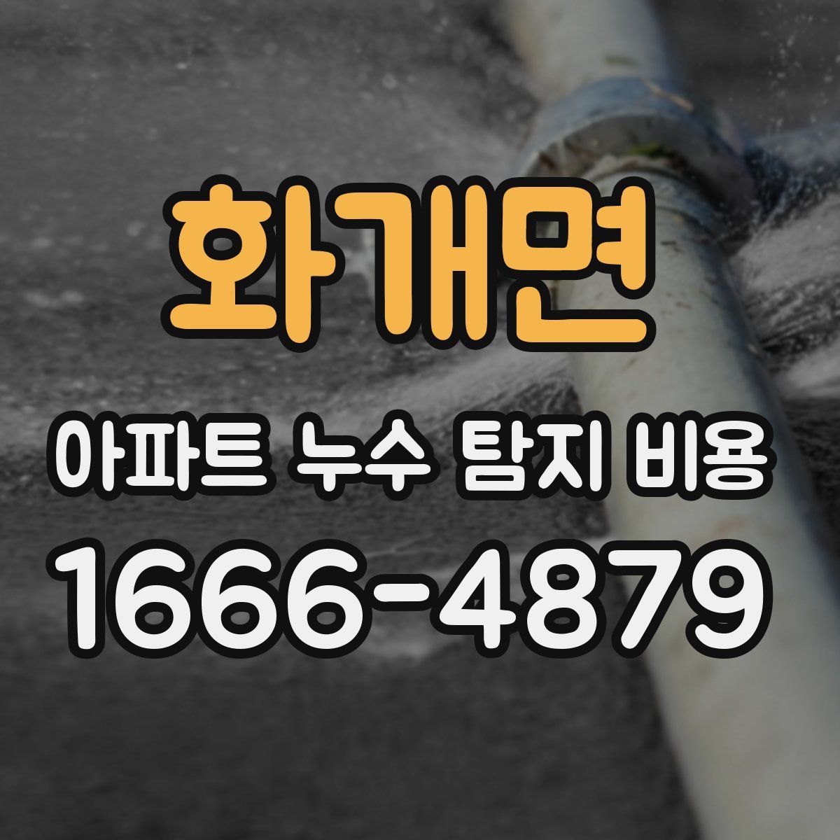 화개면 아파트 누수 탐지 비용
