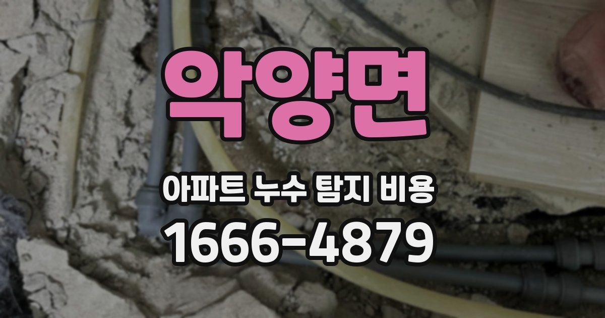 악양면 아파트 누수 탐지 비용