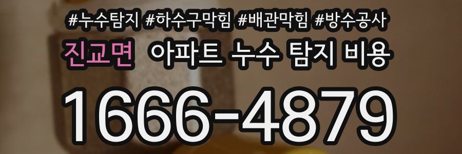 진교면 아파트 누수 탐지 비용